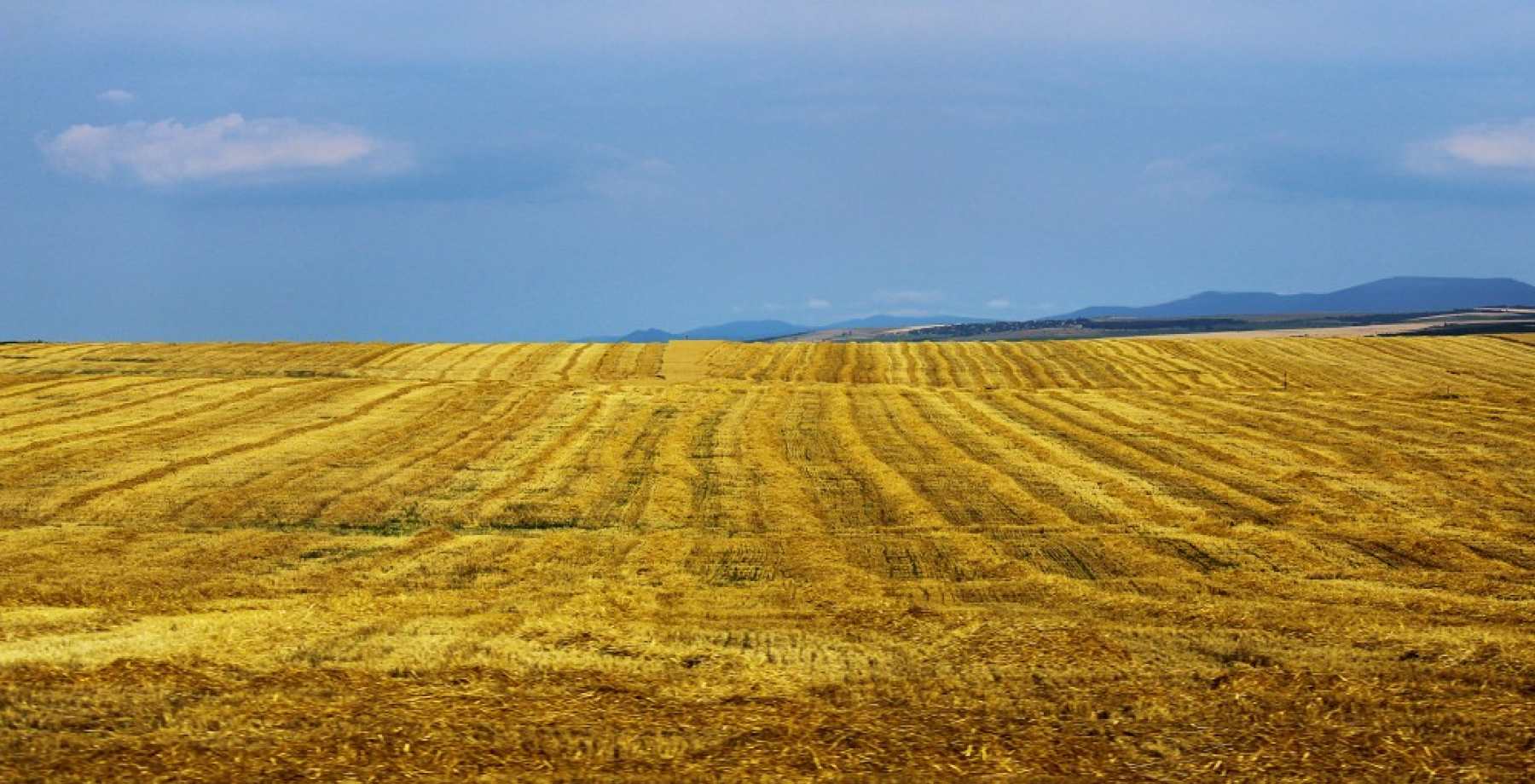 Horse Valley резерв для того, чтоб промочить горло, проснувшись в обед в чистом поле